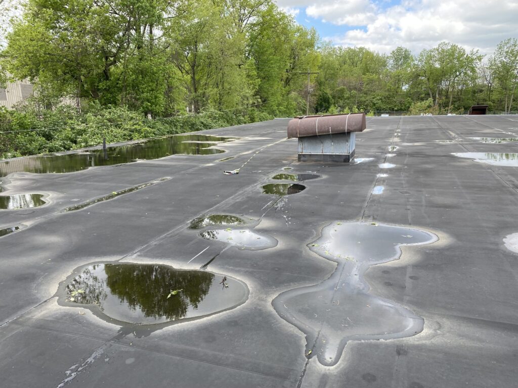 Common signs you need flat roofing service including leaks and pooling water