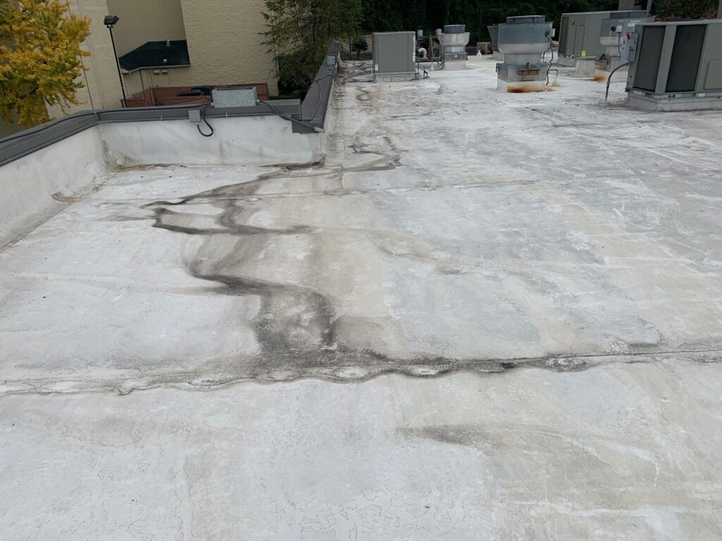 Signs Your Commercial Roof Needs Service