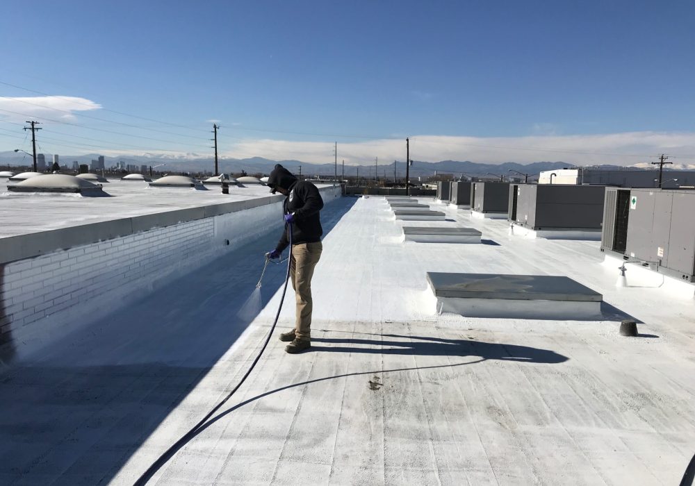 60e5a7b29a14be7c6fe8c85f_IMG_1536